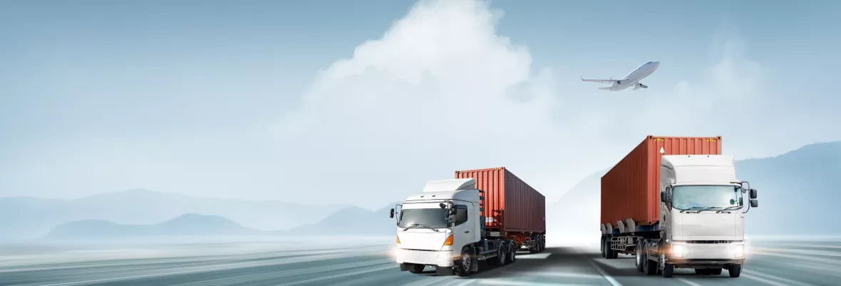 System ERP w logistyce